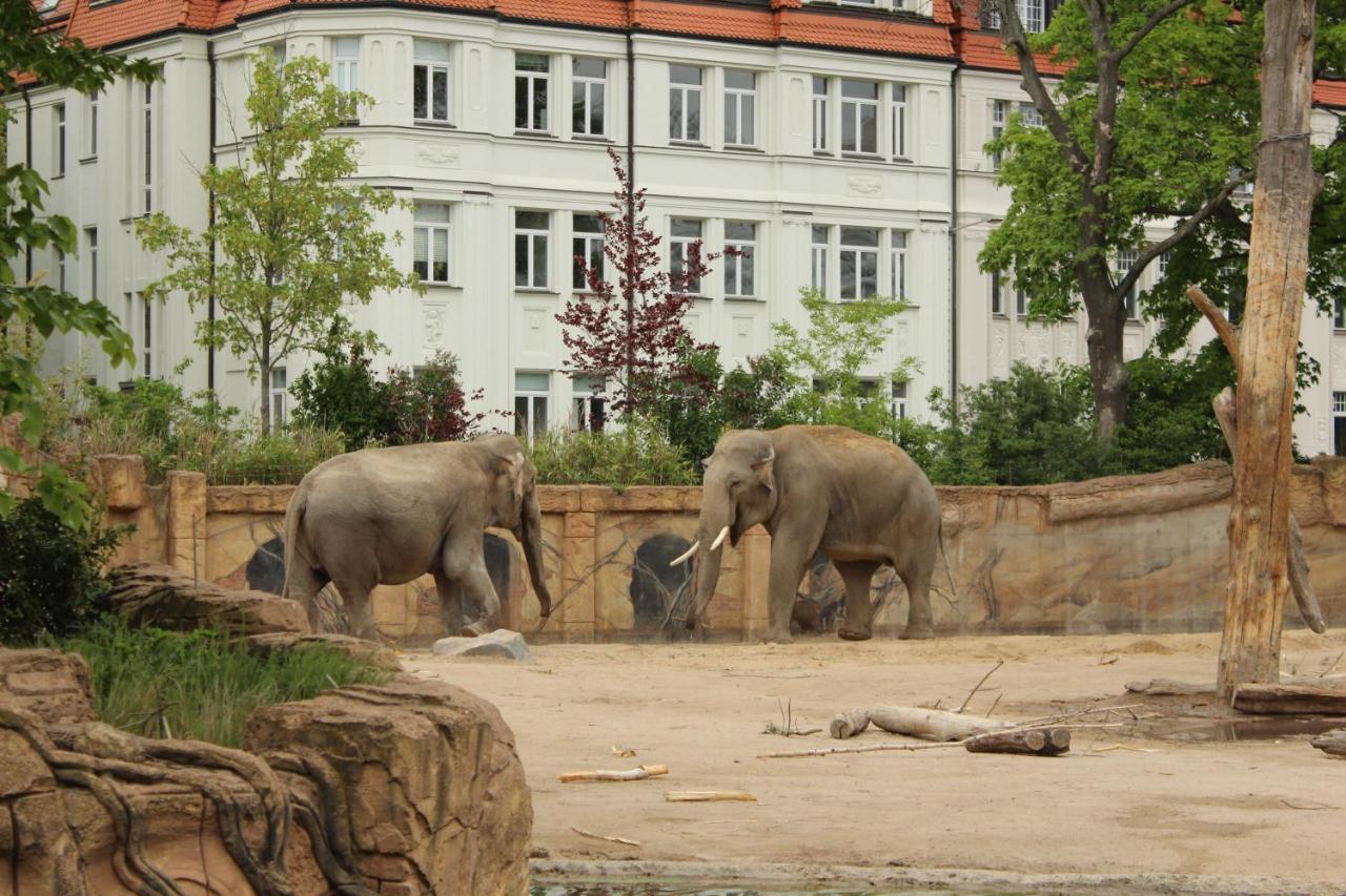 Grosse Wohnung Im Neu-Seen-Land Leipzig 马克莱贝格 外观 照片